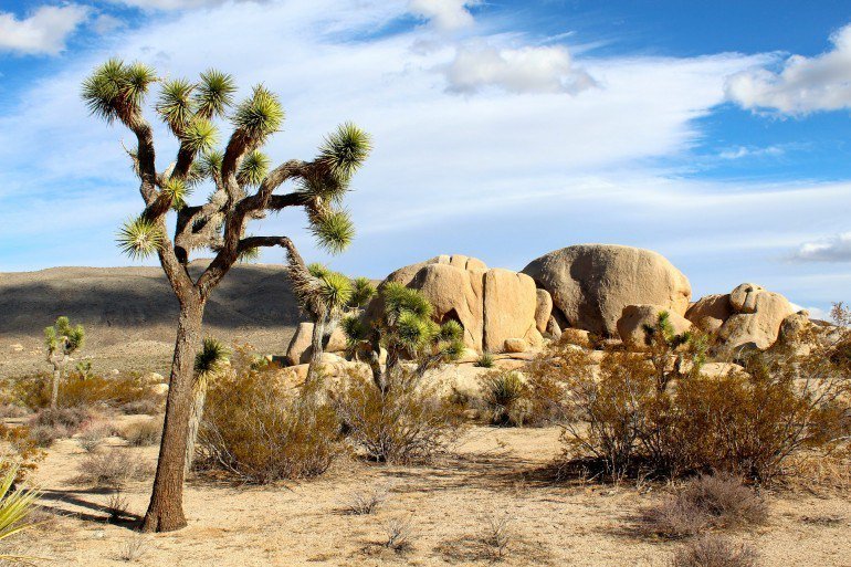 HardingCheryl's tweet image. Desert Rocks cherylharding.wpcomstaging.com/2014/02/13/des…