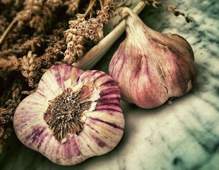 HardingCheryl's tweet image. Garlic cherylharding.wpcomstaging.com/2014/02/13/gar…