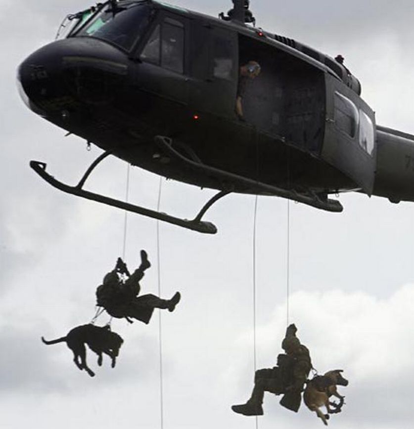 violetpilot1's tweet image. #FlyDog