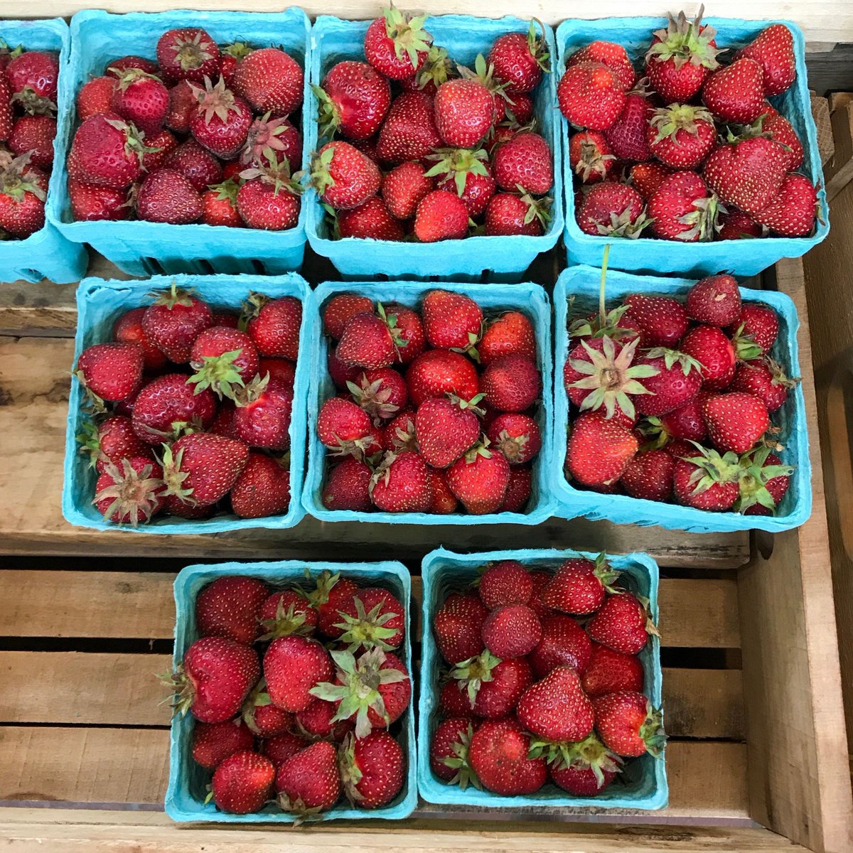 A bounty of seasonal favorites are starting to add pops of wonderful color all over the market! Join us to find your goodies for the weekend ahead -- like these gorgeous strawberries from @radishandrye! 🍓 #broadstreetmarket #seasonal #harrisburgpa #farmersmarket #shoplocal