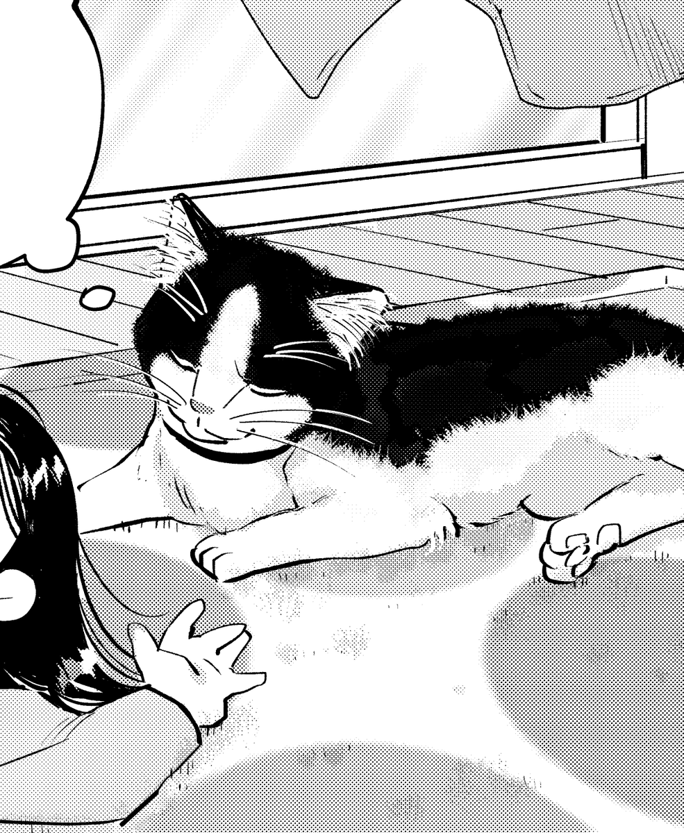 猫ちゃんもふわふわ度が上がりました。ふわふわもふもふ 
