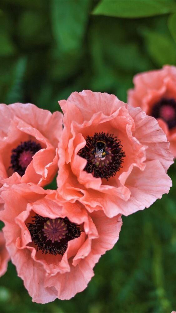 You did not choose your:

1 birthplace
2 skin color
3 birth parents, #family
4 birth gender
5 birth #language
6 birth name
7 ethnicity
8 born #abilities
You can choose to be:
1 kind
2 #generous
3 honest
4 grateful
5 respectful
6 optimistic
7 humble
8 teachable
9 faithful
10 happy