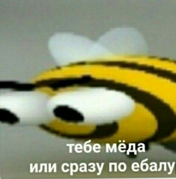 А дОвАйтЕ вы покидает мне мемасики ибо мне нечем пользоваться в вп
ПАЖАЛУСТААА

и если вам не сложно сделайте от, чтобы было больше мемов