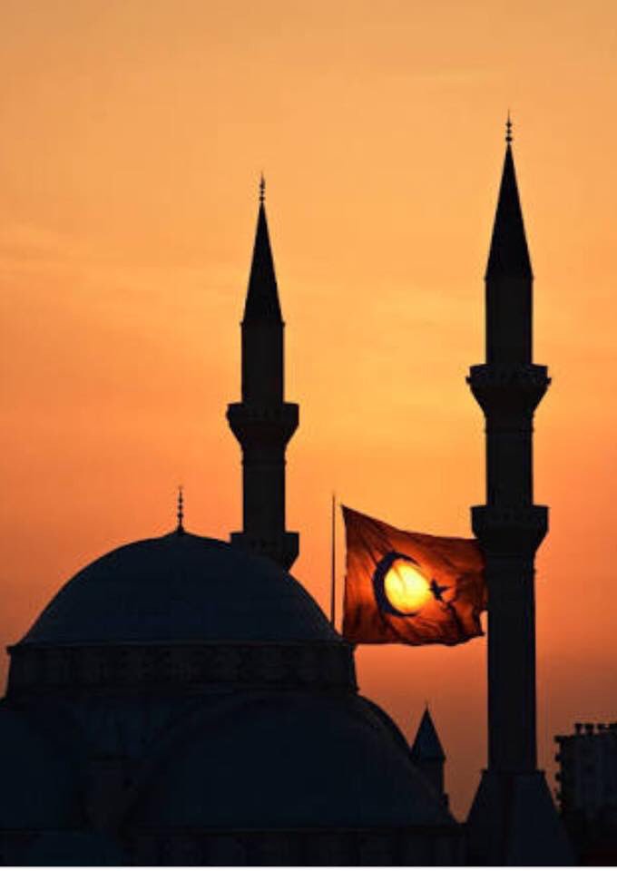 Mustafa ERDEM tweet media