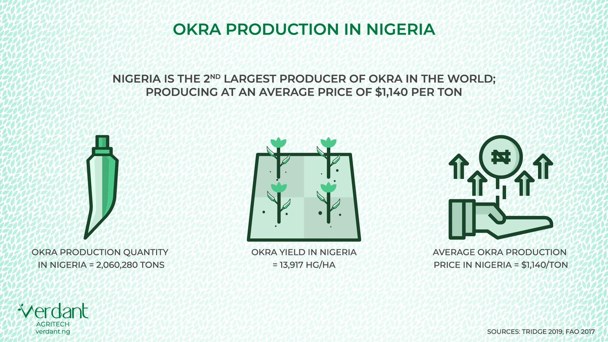Nigeria is the 2nd largest producer of okra in the world; producing at an average price of $1,140 per ton. 

#agriculture #agritech #foodsecurity