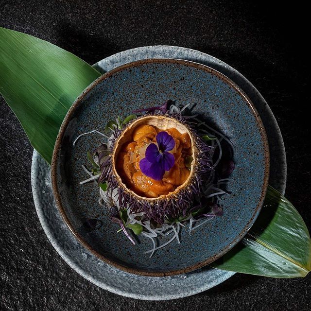 eandoathens's tweet photo. Our restaurant has become synonymous with top-quality Pan-Asian food, with flavors from China, Japan, Sri Lanka, Malaysia and Thailand.

Check out our new menu with dishes like the sea urchin with ponzu sake &amp; yuzu jelly.

#eandoAthens #Athens #AthensRes… https://t.co/HiWHwtEcJL https://t.co/5gSjm4Y8R9