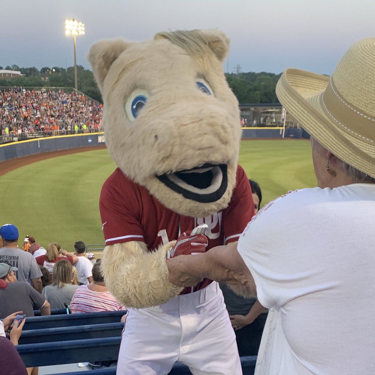 pwjsooner's tweet photo. Boomer!  OU advances in the Winners Bracket Beating Alabama 3-2.  Up next OSU @ 8:30 pm Friday ESPN #BEATPokes https://t.co/FavEvwqwIz