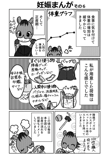 妊娠まんがその6です。妊娠漫画はこれで終わり、次回からは出産まんがになります。今回は臨月の話です。漫画には描いていませんが朝晩にストレッチもしていました。でも臨月になって散歩は少しサボり気味でした(笑)#妊娠 #エッセイ漫画 