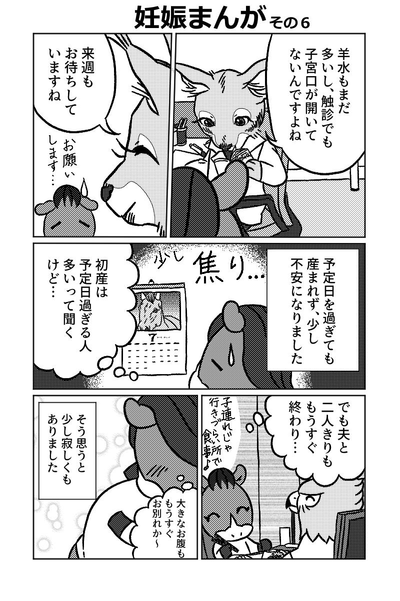 妊娠まんがその6です。
妊娠漫画はこれで終わり、次回からは出産まんがになります。
今回は臨月の話です。漫画には描いていませんが朝晩にストレッチもしていました。でも臨月になって散歩は少しサボり気味でした(笑)
#妊娠 #エッセイ漫画 