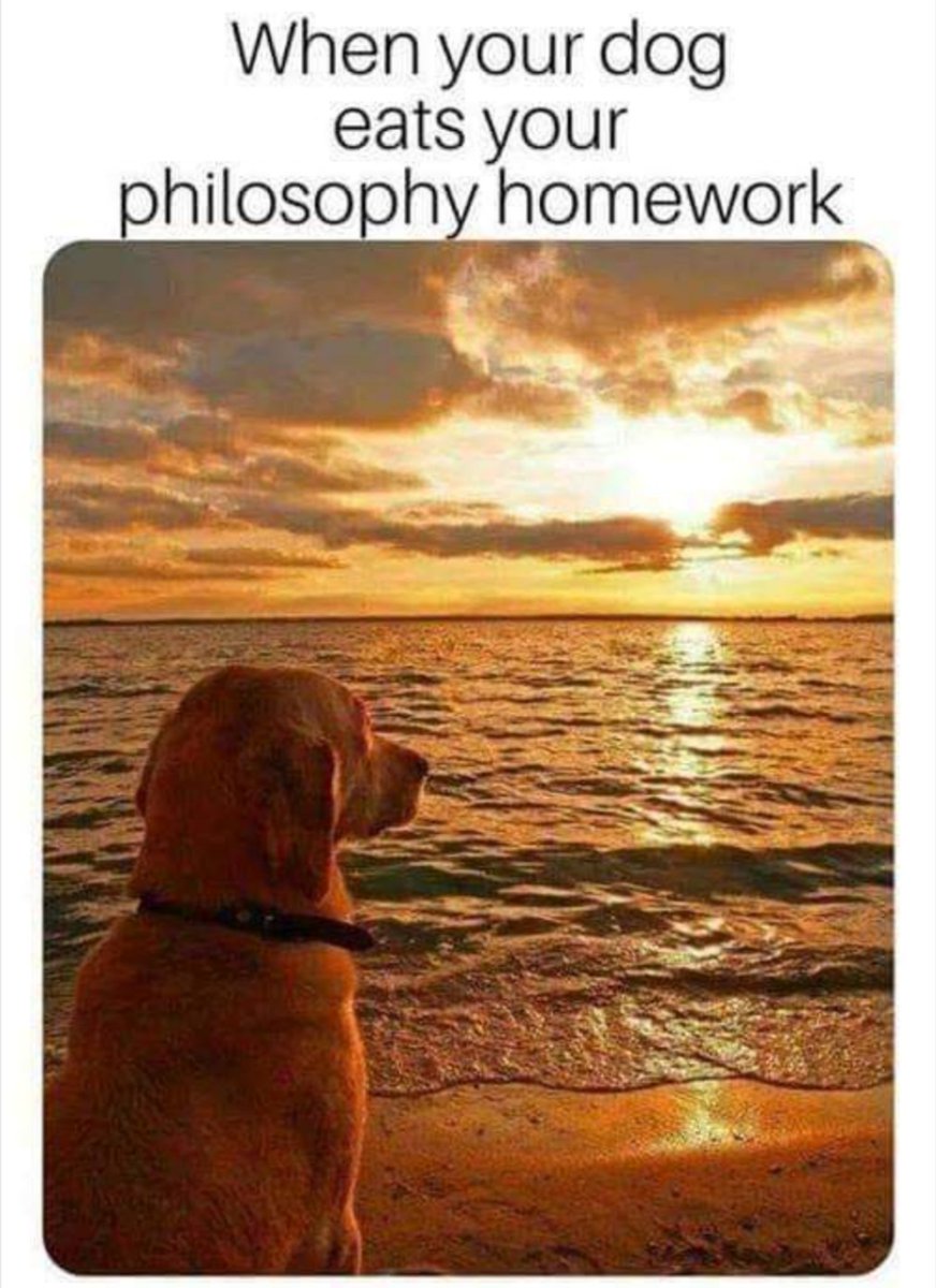 MsAbled's tweet photo. 🐾🦴🐕"I bark therefore I treat"🐕🦴🐾 https://t.co/x6RRLnV9XN