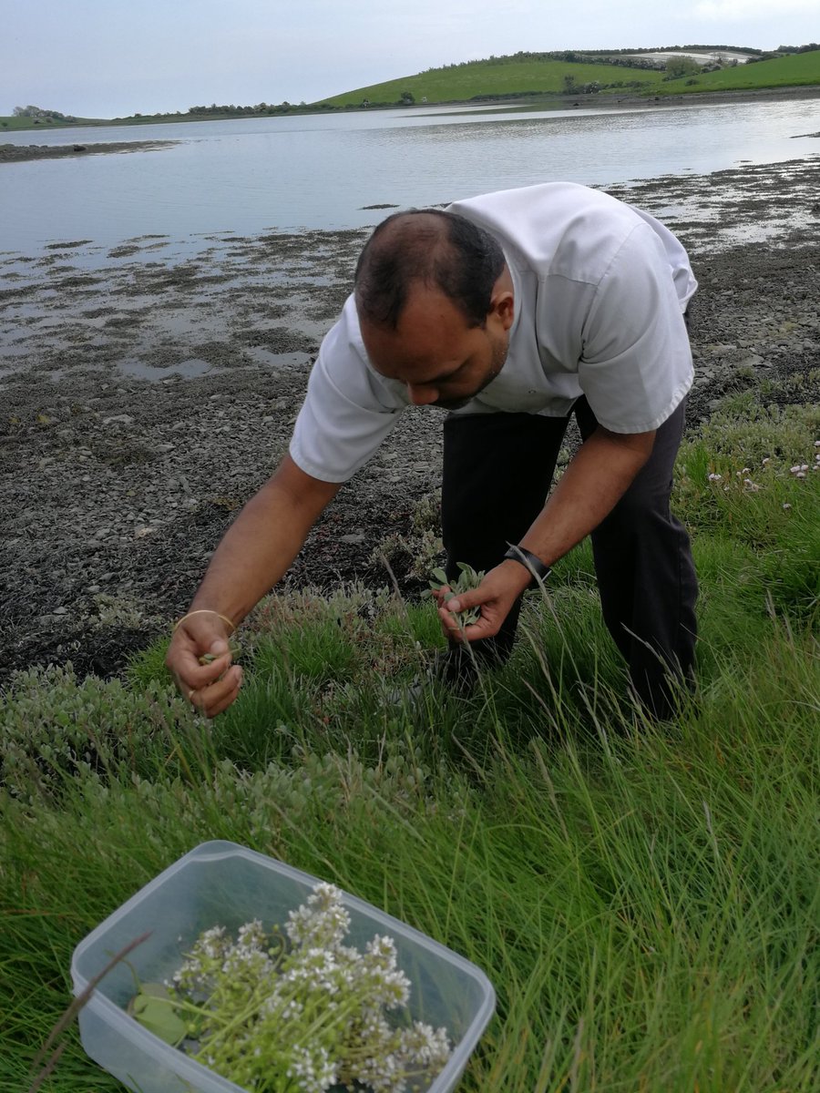 Chef has been out foraging along the shoreline again for tonights Catch of the Day!! #SmugglersTable #Killyleagh #StrangfordLough #NaturesBest <a href="/RoyAbra35073397/">Roy Abraham</a>