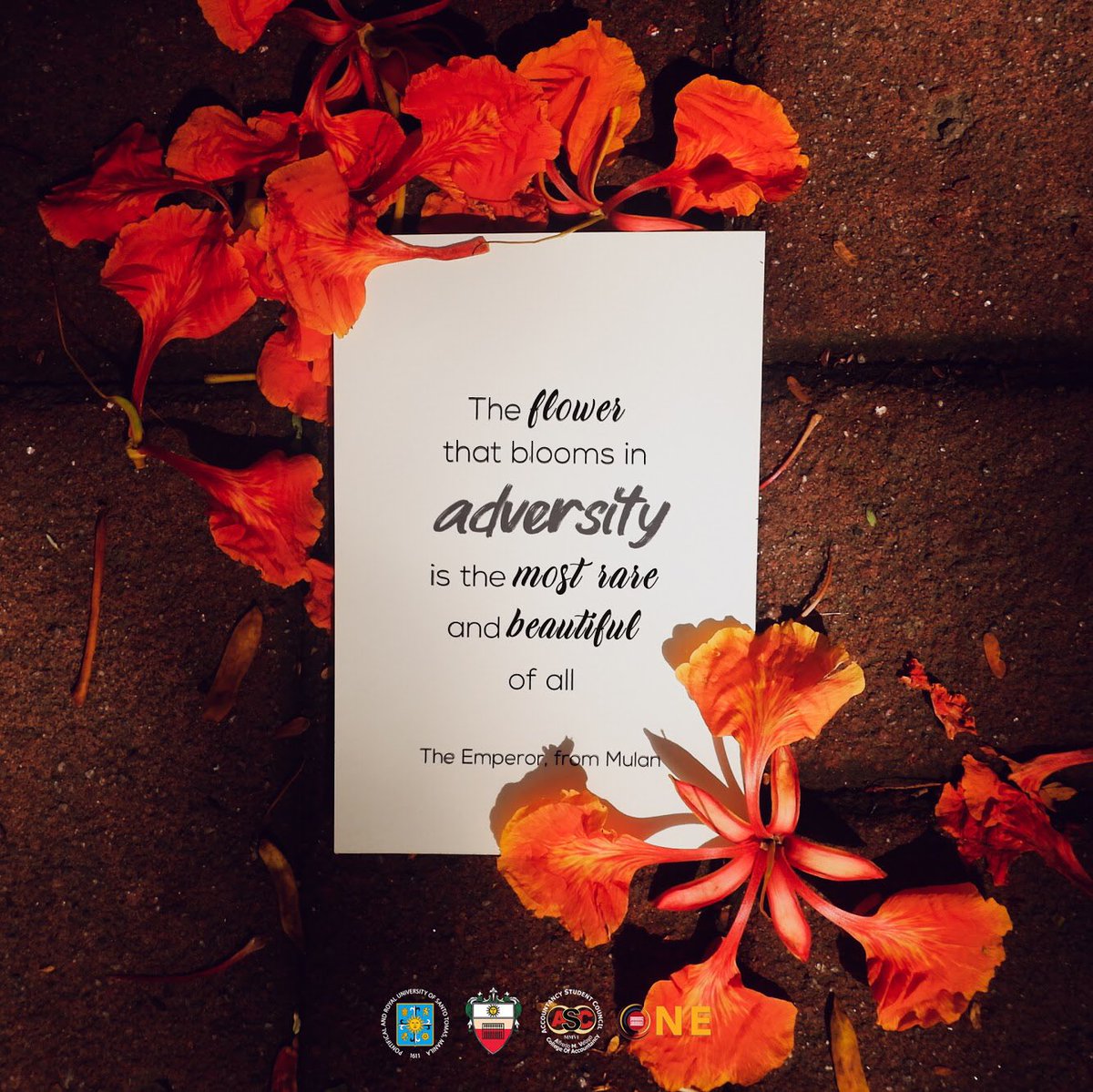 UST_ASC's tweet photo. Self-motivated, self-destructed, self-renewed. A long uncertain week yet yourselves have went passed it. Don't worry still of what lies ahead.
You have done your part. It is now time to have a good time. β€οΈ
#LUMIERE
#ONEfourAMV https://t.co/nhKHjDYTES