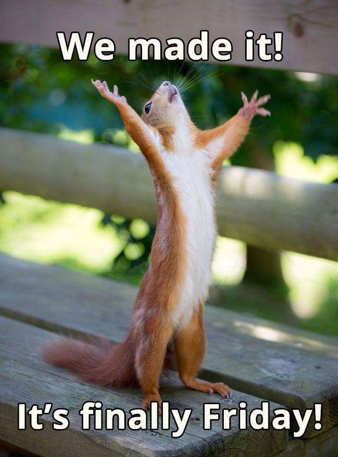CANCSW's tweet photo. #Friday #finallyfriday https://t.co/fHIkc8TlhF