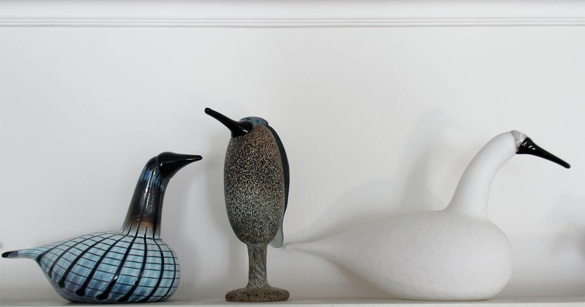 Julkkis suihin videot