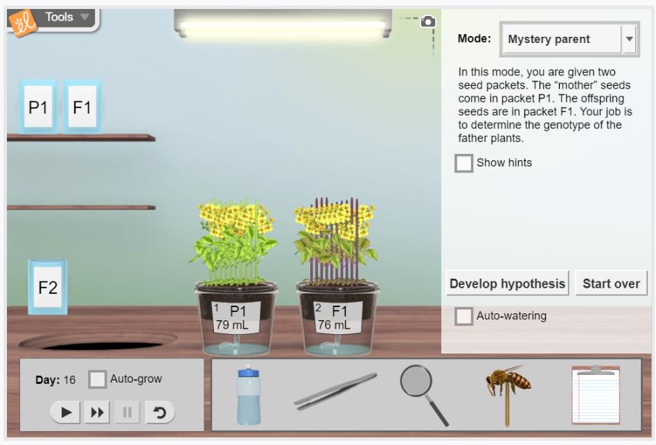 EL_EmilyD's tweet photo. 🚨 New Gizmos Alert 🚨 Introducing 2 new #ELGizmos for Fast Plants 🌱! In collaboration with @fastplants, we showcase the hardiness, short life cycle and varied genetic traits. Learn with our free Gizmos today! https://t.co/aS4SNIbOCz https://t.co/J1LkXxocq1