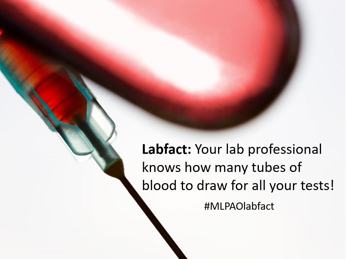 MLPAOnews's tweet photo. ππ§ͺ
#LabfactFriday #medlab #MLPAOlabfact #MLAT #MLT https://t.co/DAQ8SxqN3I