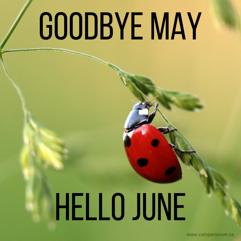 CampersCoveWH's tweet photo. One day closer to #Summer #June #FridayFeeling https://t.co/3XJm1Xy1oH