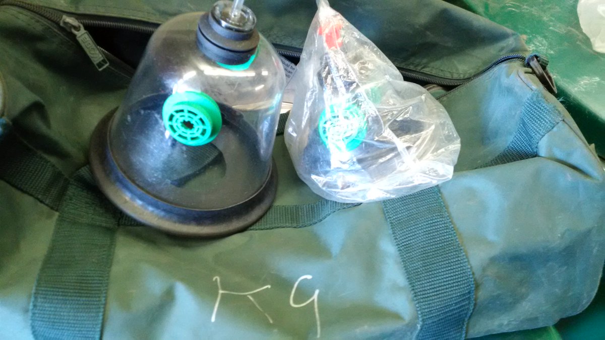 OttFire's tweet photo. OSGOODE FIRE: Firefighters used Resuscitator Masks fr Canine Kit & resuscitation measures to revive "Q" & Brandy. Dogs now in care of @vcacanada Alta Vista Animal Hospital. TY @redcrosscanada & @Salvation_Army for supporting displaced family of 5 #ottnews #petsave #feelgoodstory https://t.co/Hf8mCr3IBz