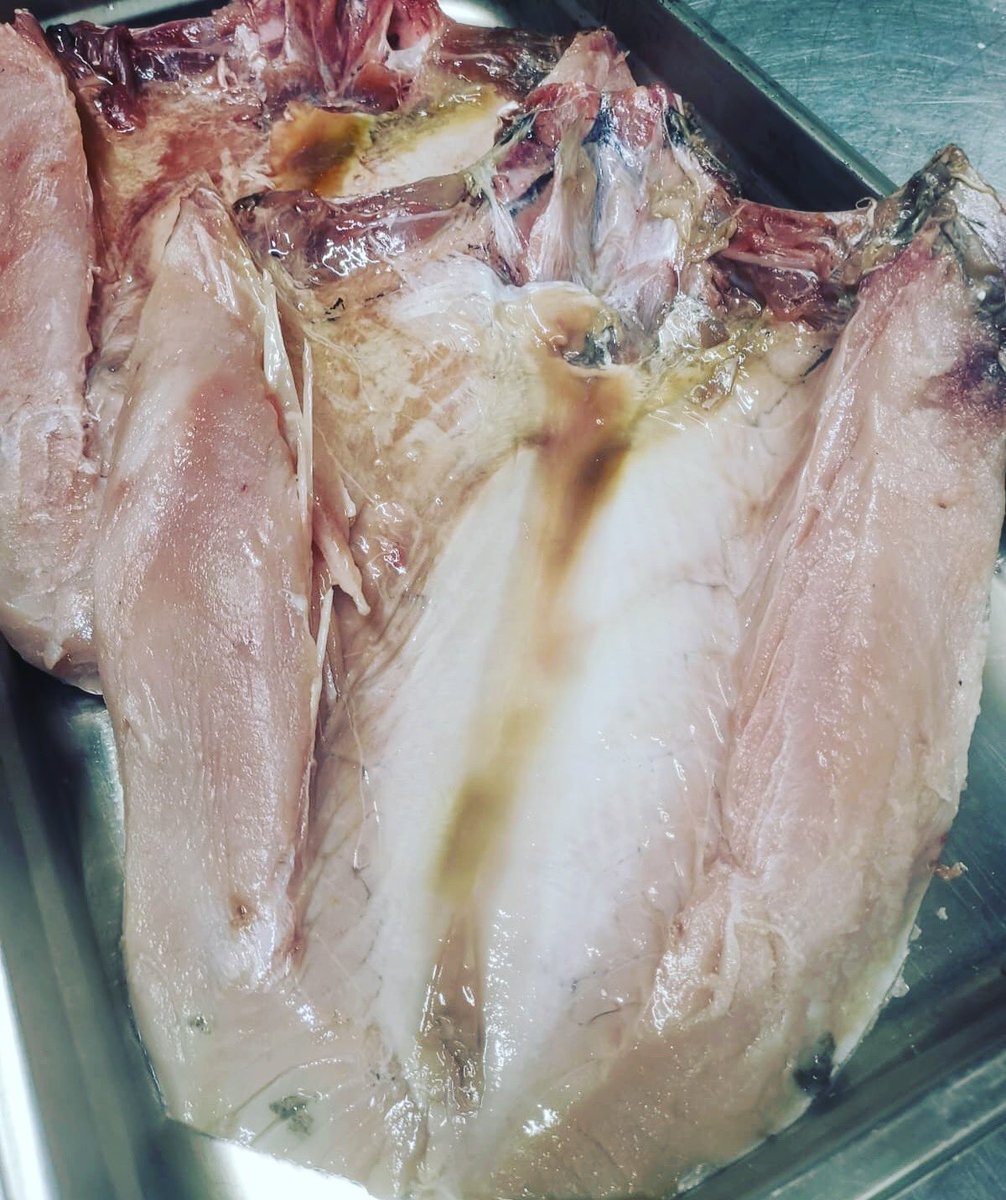 LaCortedePelayo's tweet photo. Empieza la temporada del #bonito #ventresca #ventrisca ... 🐟🐟 https://t.co/mcgoGyqVqC
