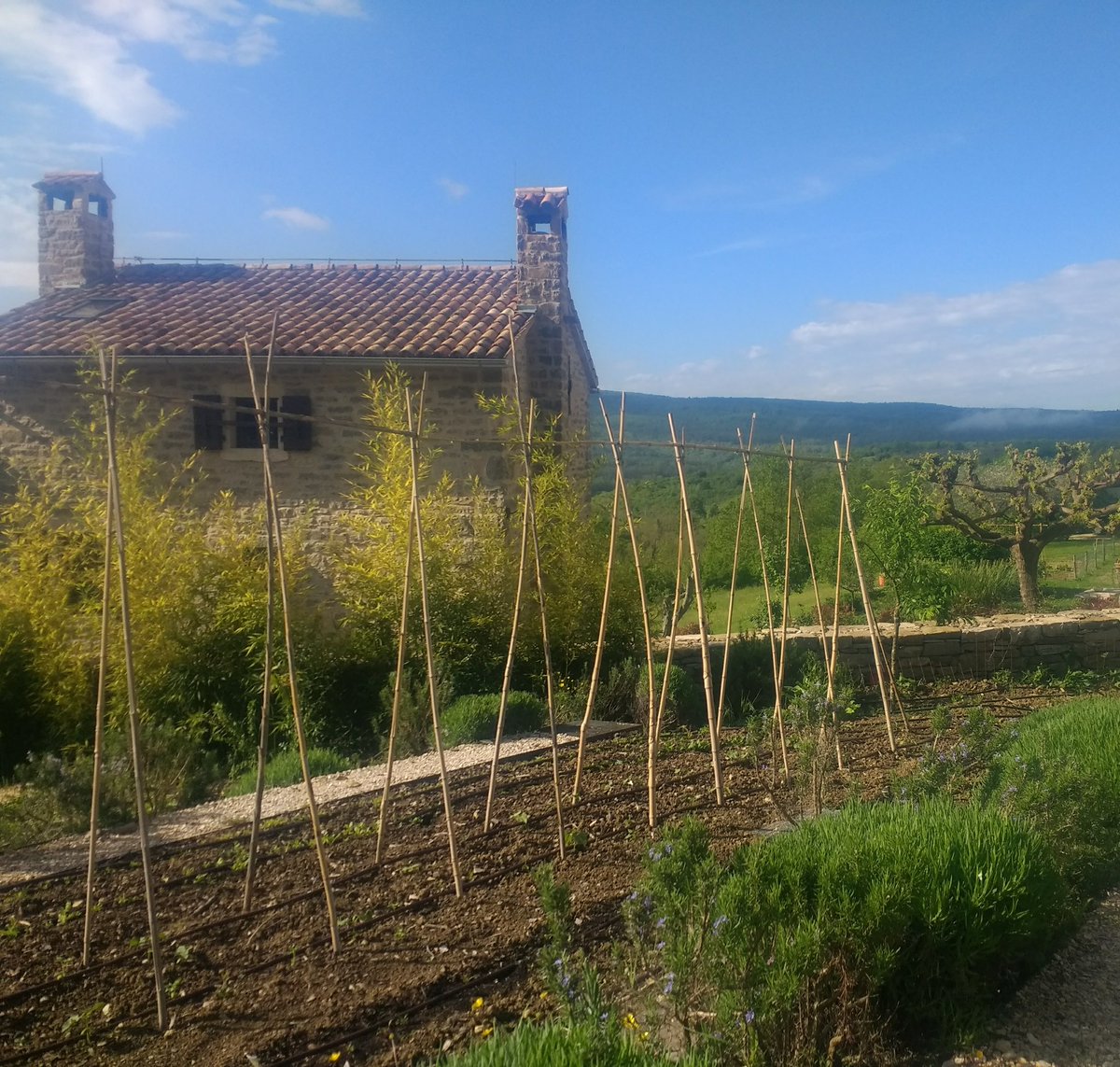 auntyclare64's tweet photo. Recently spent one month living/volunteering abroad in Croatia. Able to travel freely because of the passport I currently hold. I'd like to retain that right.
#remain https://t.co/HuiKpXONCt