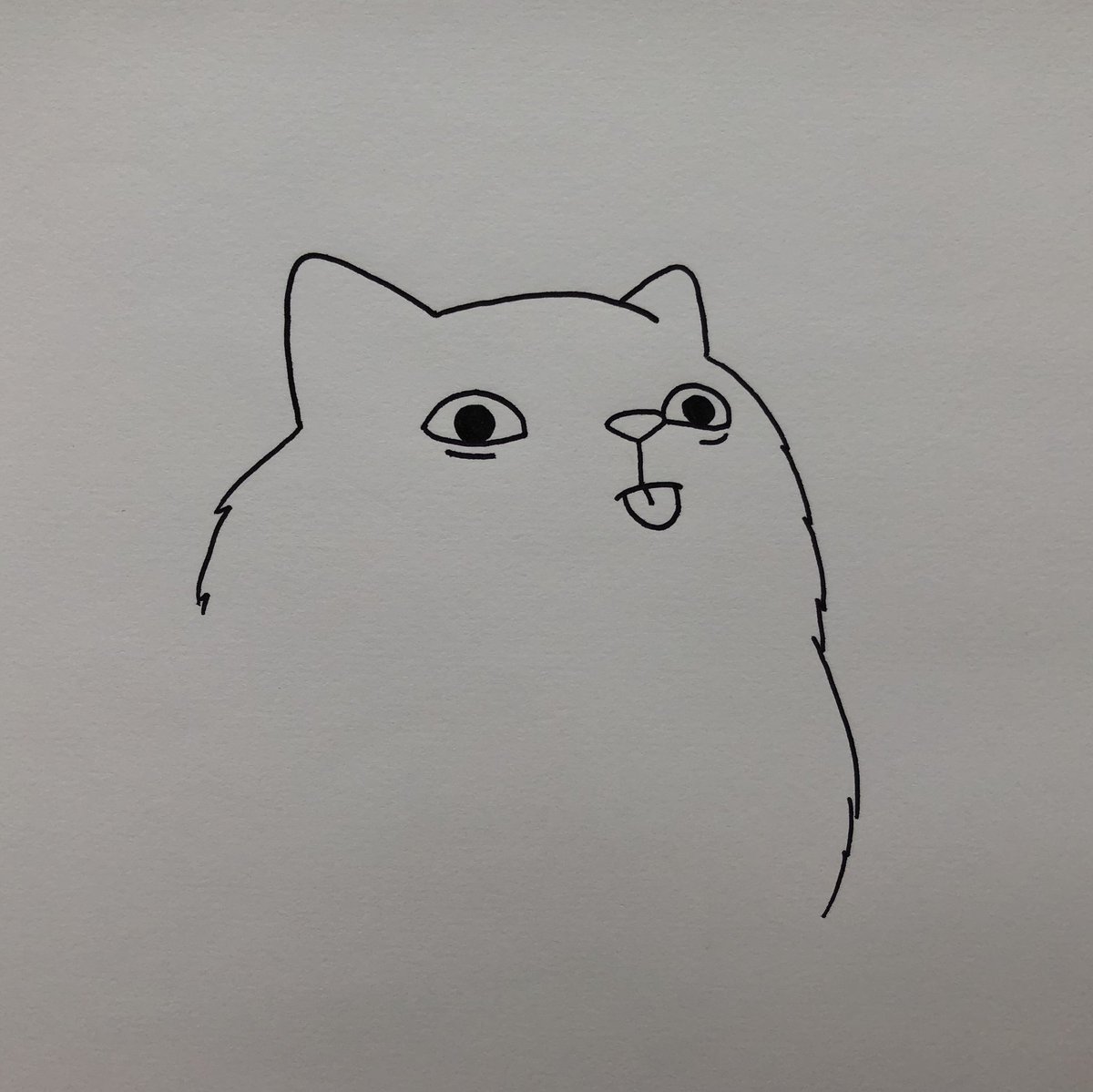 poorlycatdraw's tweet photo. mlop https://t.co/L9tFXM1C1z