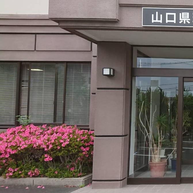 fukushiribi's tweet photo. 福祉理美容の授業５回目です

実習は車いす介助の授業です
利用者が不安いならないように前に進んだり後ろに進む授業です

スロープや段差で車いすを介助します。

#山口県美容専門学校
#全日本福祉理美容協会
#認証福祉理美容師
#福祉美容
#福祉理容 https://t.co/wbh7CzKGbJ