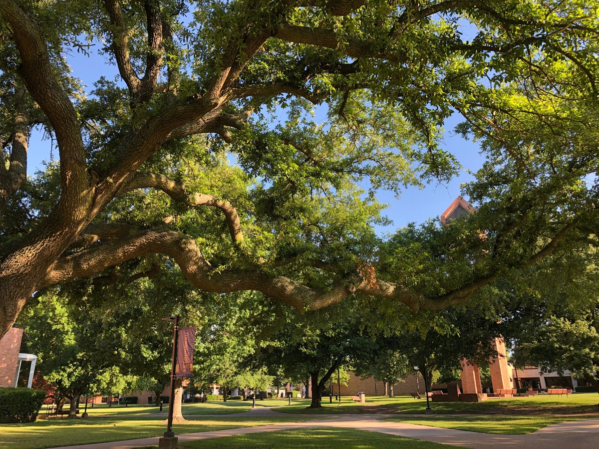 LETU Alumni tweet media