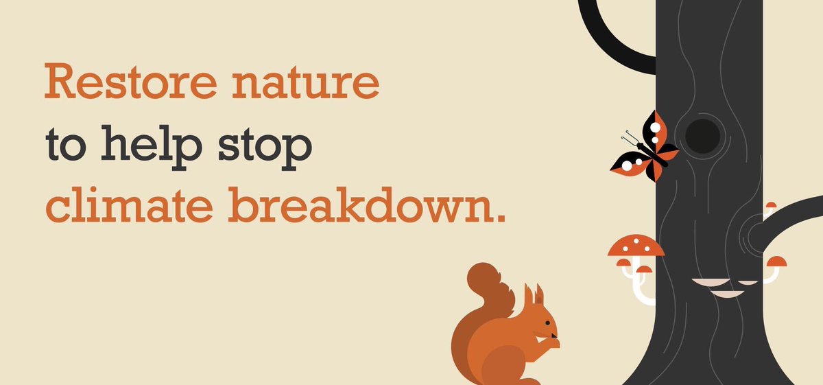 Team4Nature's tweet photo. Please SIGN &amp; RT if YOU want NATURE restored on a MASSIVE scale for the good of all! 

100,000 UK signatures gets this into parliament for a debate! 

3,600 to go! 

COME ON UK! 

TOGETHER we CAN do this! 😊
👇✒️
https://t.co/PDph40PLiP https://t.co/Tzzy0Rab8Q