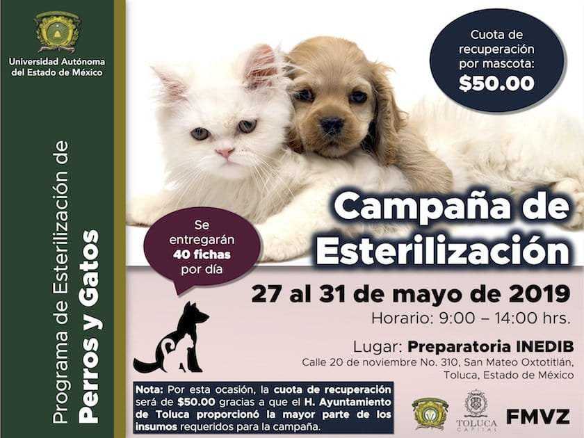UAEM_MX's tweet photo. Lleva a tu mascota a la campaña de esterilización de perros y gatos que se realiza en la Preparatoria INEDIB.
Consulta los requisitos 👉 https://t.co/MpNUqYpvJ2.
#MiUniversidadEsResponsable 🐈🐕 https://t.co/cxNYfb7Oqg