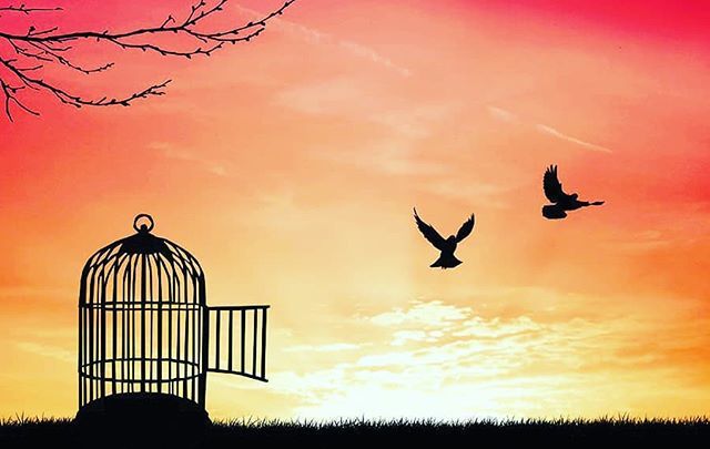LucyLevens's tweet photo. FREEDOM is our true nature. #freedomoverfear #showup #selfcare #deepdive https://t.co/53ZYOepjgF https://t.co/JJPecXOSAu