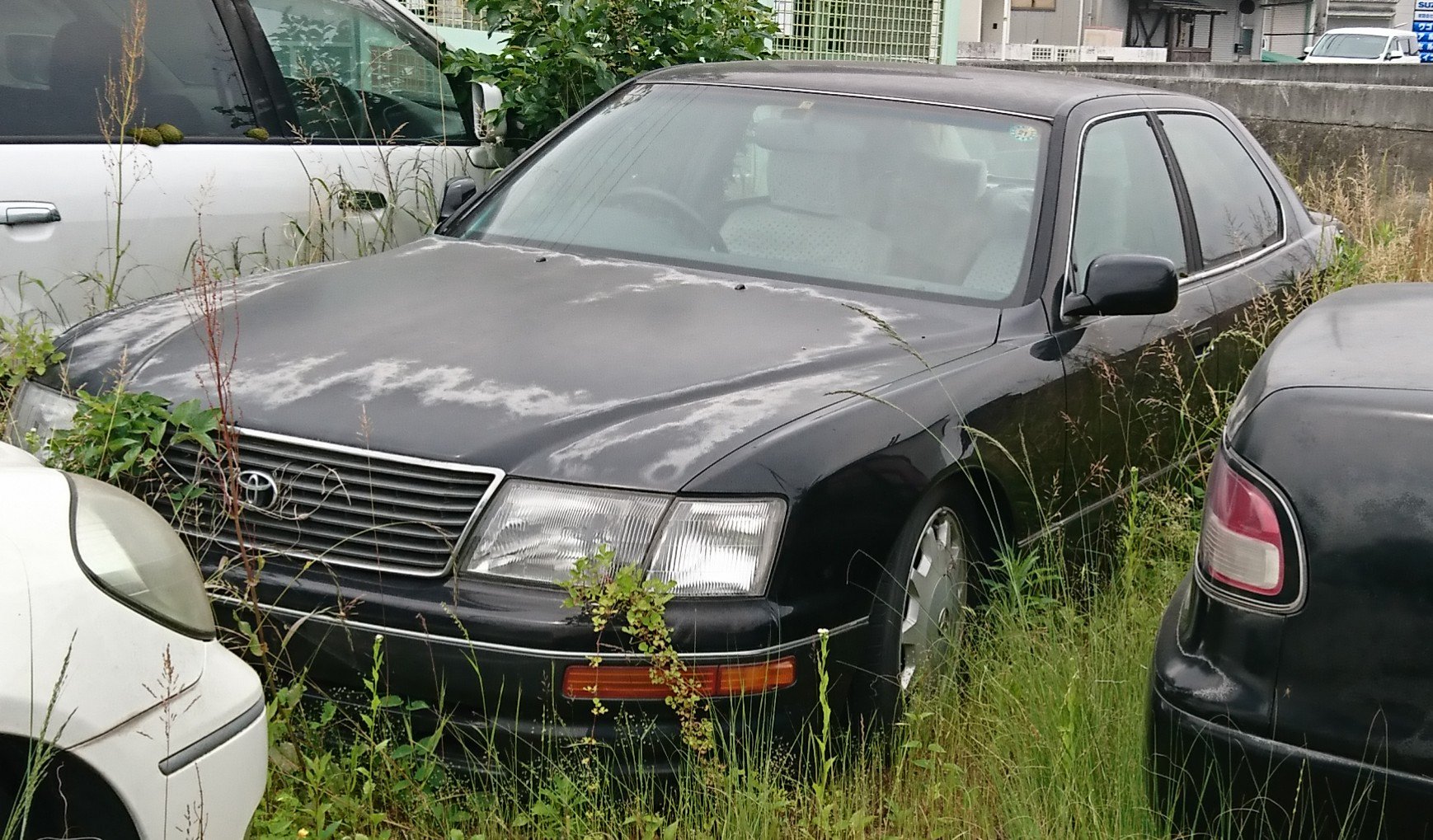 Kp61 セルシオ 当時 の 日本車 の中では 最高級車 法人 需要や 高所得 層の個人オーナーからの需要も多かったが Vipカー と呼ばれる ドレスアップ 改造車 の ベース車 として若年層からの需要も そのため