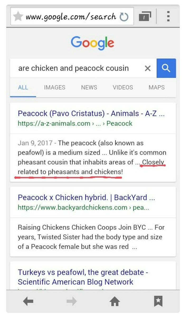 Tae using sharp reasoning to answer if chickens have tails?And then when asked about whether chickens and peacocks are related he answered correctly both the times! #BTSV  @BTS_twt  #V  #Taehyung