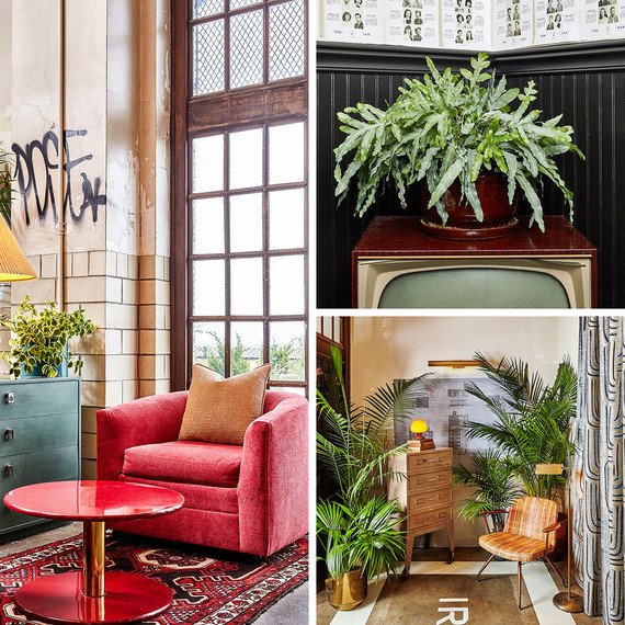 Feeling major Bok building pride today! Irwin's was featured by Martha Stewart! Read the full piece: bit.ly/2Z6t8c3