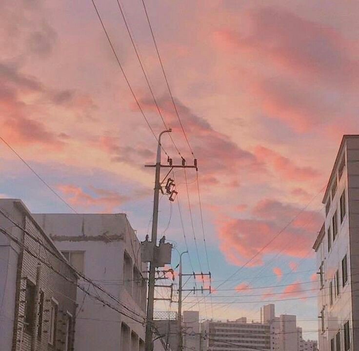 2 4 k. tweet media
