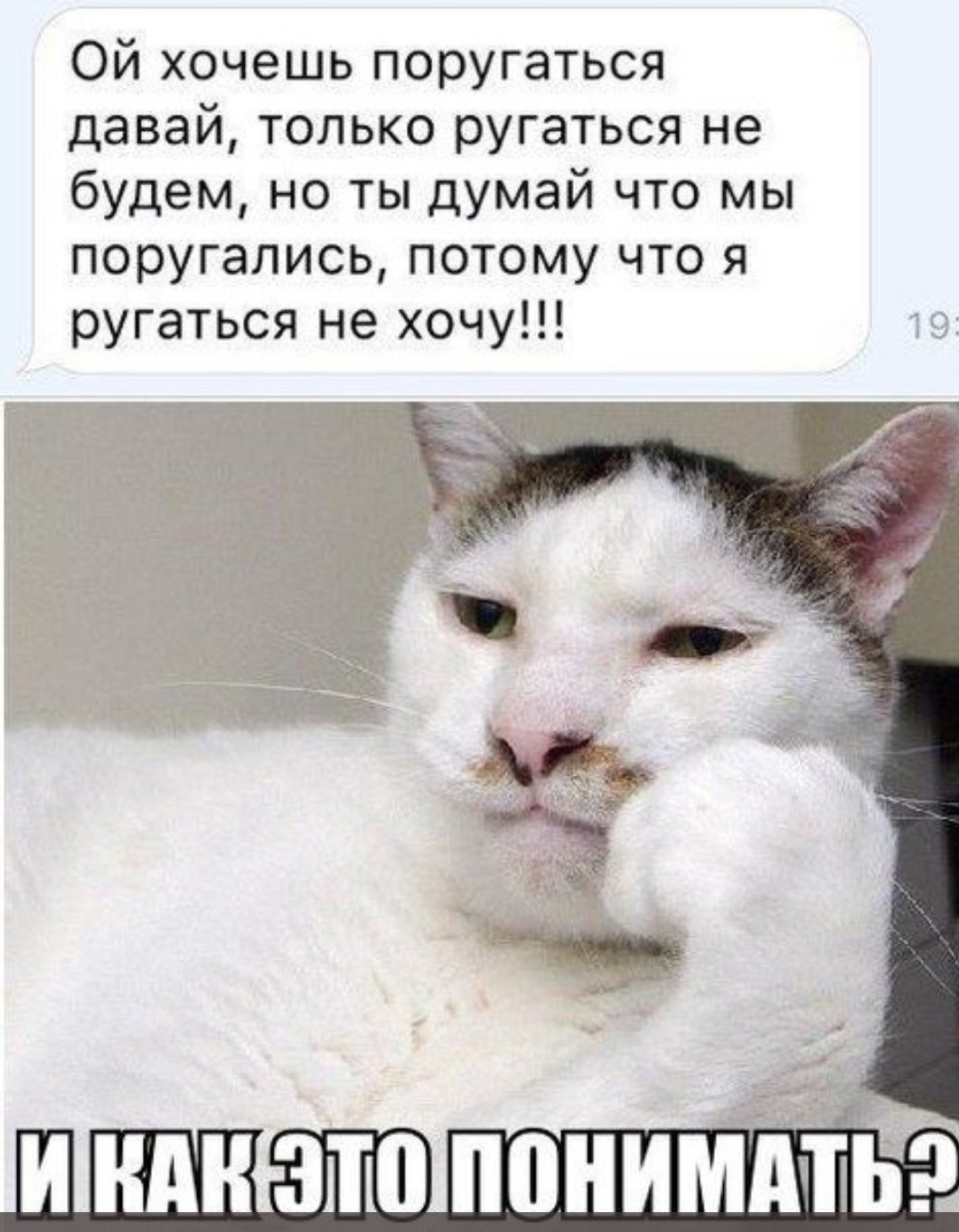 Картинки смешные с надписями для настроения