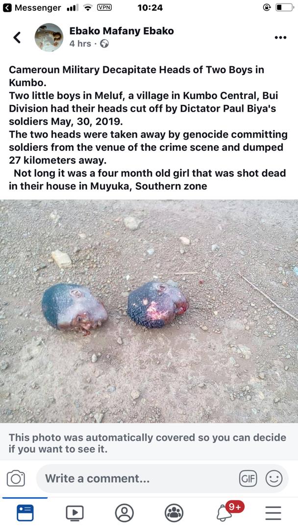 Fombat2's tweet photo. [31/05 10:28]Elvis: The two little boys were decapitated in meluf kumbo,30/5/2019
[31/05 10:28] Elvis: The #Military cut off the heads of two boys in kumbo @UN @UKParliament @AsstSecStateAF @BBCWorld @CNN @hbaldwin @POTUS @RoyalFamily @theresa_may #GenocideInSouthernCameroons https://t.co/VCi6E6O5y0