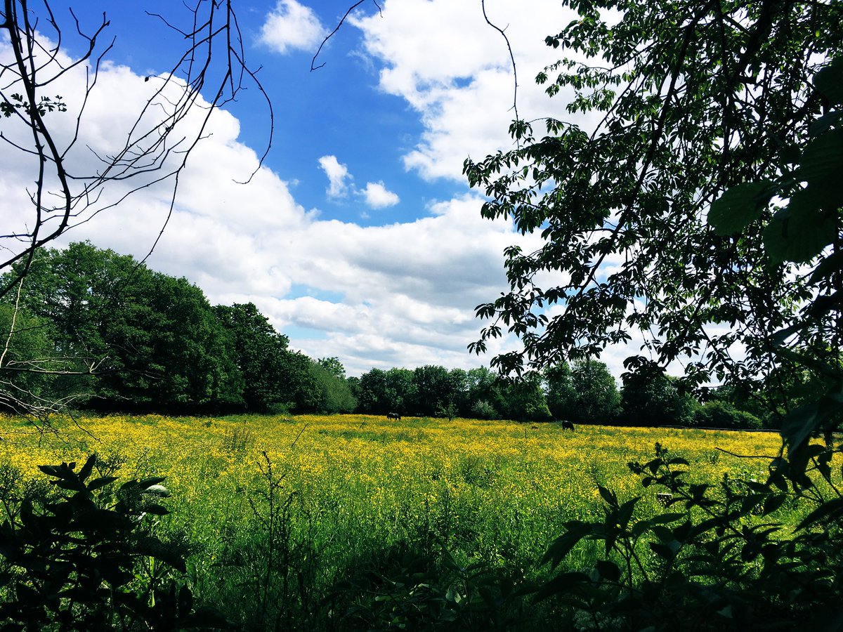 fashionchronic's tweet photo. Sunny #friday in #countryside https://t.co/enuQMIdjdR