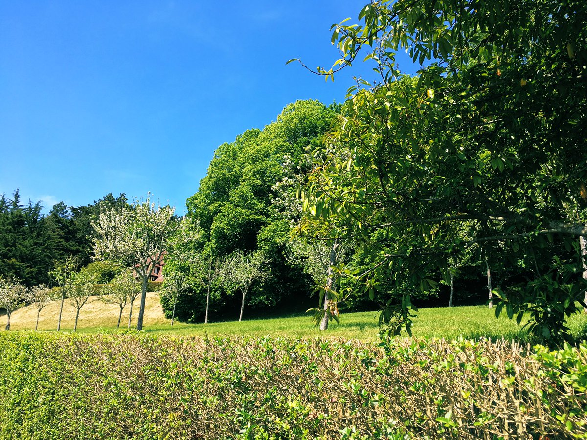 fashionchronic's tweet photo. Sunny #friday in #countryside https://t.co/enuQMIdjdR