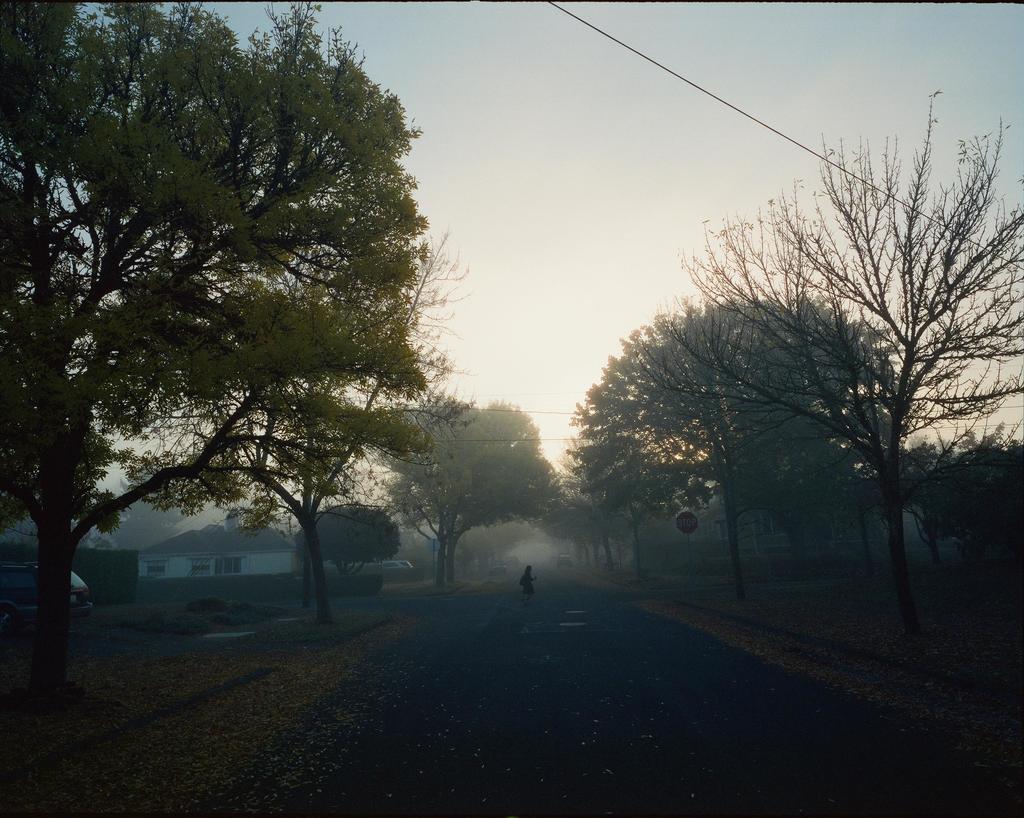 photosocool's tweet photo. On my block. [Mamiya 7ii, Portra 400, f/8] via /r/analog https://t.co/BGq1Zhw5OH