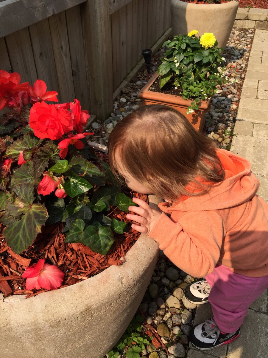 DoreyBennett's tweet photo. This is “How Learning Happens” smelling the flowers. https://t.co/0UvlZz1I7H