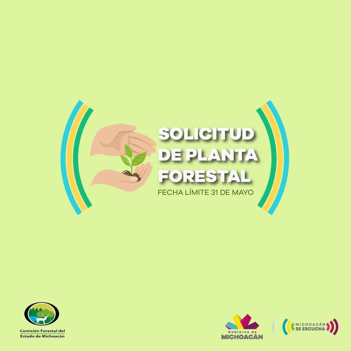 GobMichoacan's tweet photo. Hoy es el último día para presentar tu solicitud de planta forestal y contribuir a la recuperación de nuestra superficie arbolada, contacta a la @cofom_michoacan al 3 12 39 30 y 3 12 39 06, ellos te darán toda la información que necesitas. #EscuchaLaTierra 🌱 https://t.co/n6OLCEfKhi