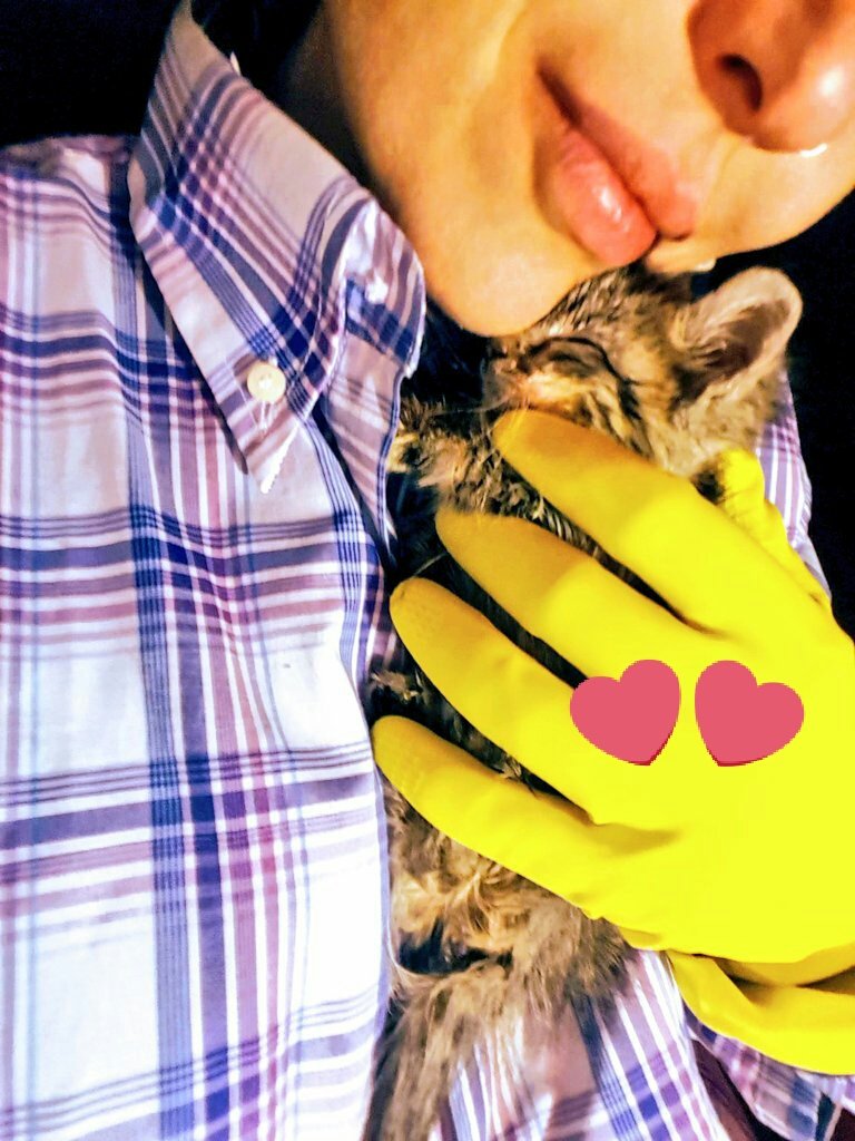 Love Cat 
Ciao Piccolina ❤😭