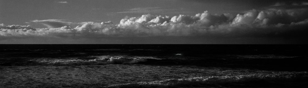 dizd's tweet photo. Half and Half
That time I fed a 35mm roll of #Delta3200 into my #GSW690III. #believeinfilm #xpanhack https://t.co/IEr4tL7dbE