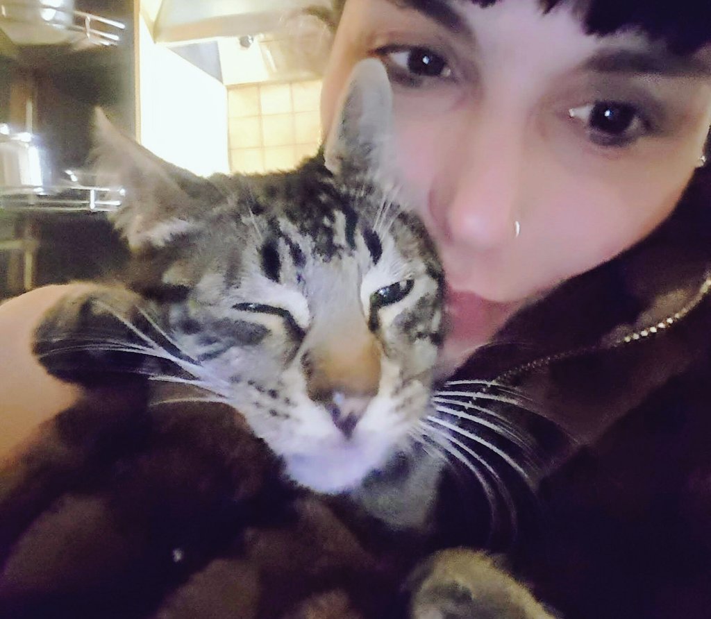 Muffin maschietto 6 mesi cerca casa . 
Dolcissimo. Compatibile con cani e altri gatti . 
Adottabile in Campania e centro nord Italia  appartamento .
Informazioni 333.71.20.699