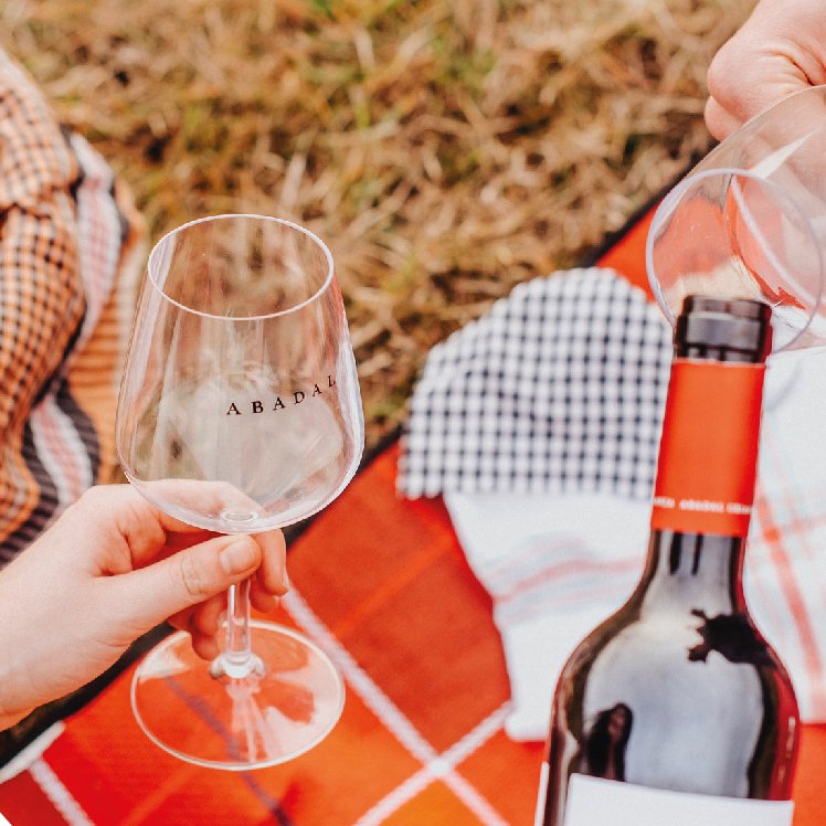 vinsabadal's tweet photo. Picnic & Wine/ 14-06-19/ 20h / Celler Abadal. Gaudiu d'una posta de sol entre vinyes amb la millor companyia, tot tastant els nostres vins que acompanyarem amb un bon pícnic. Més info/reserva: https://t.co/l5IrLLzIl9 #tast #tematic #juny #bages #enoturisme #vi #wine #winelover https://t.co/BukBWkB9gS