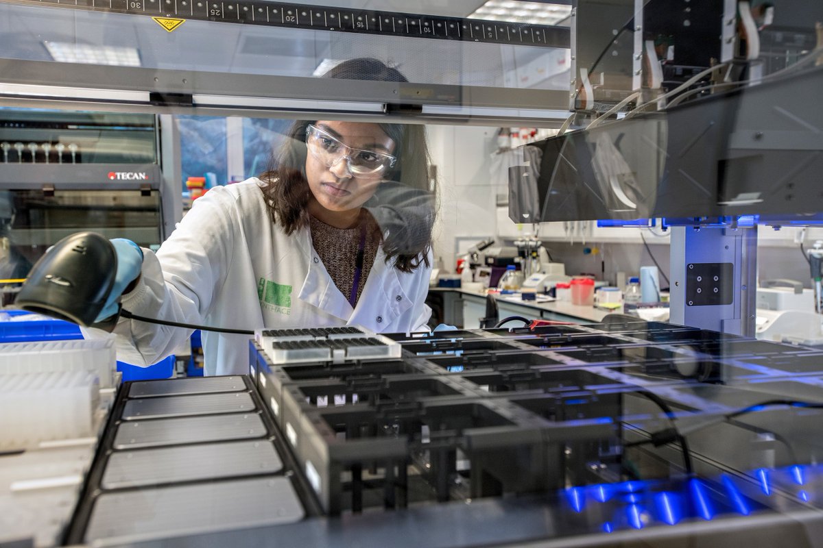 Sybil Wong tweet media