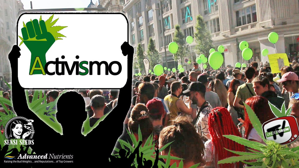 Todo sobre la Marcha Mundial de la Marihuana en Madrid. #420time #mmmm19 youtu.be/LLtCXMUGbCI