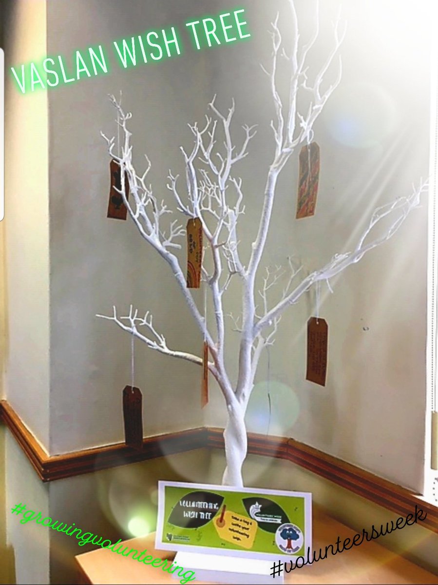 VA_SLAN's tweet photo. Our wish tree is in need of some more wishes!
Have a good weekend and hope to see you all next week for volunteers week ๐๐ฅณ
#volunteersweek #growingvolunteering #volweekscot #timetocelebrate https://t.co/aoAF1BUppl