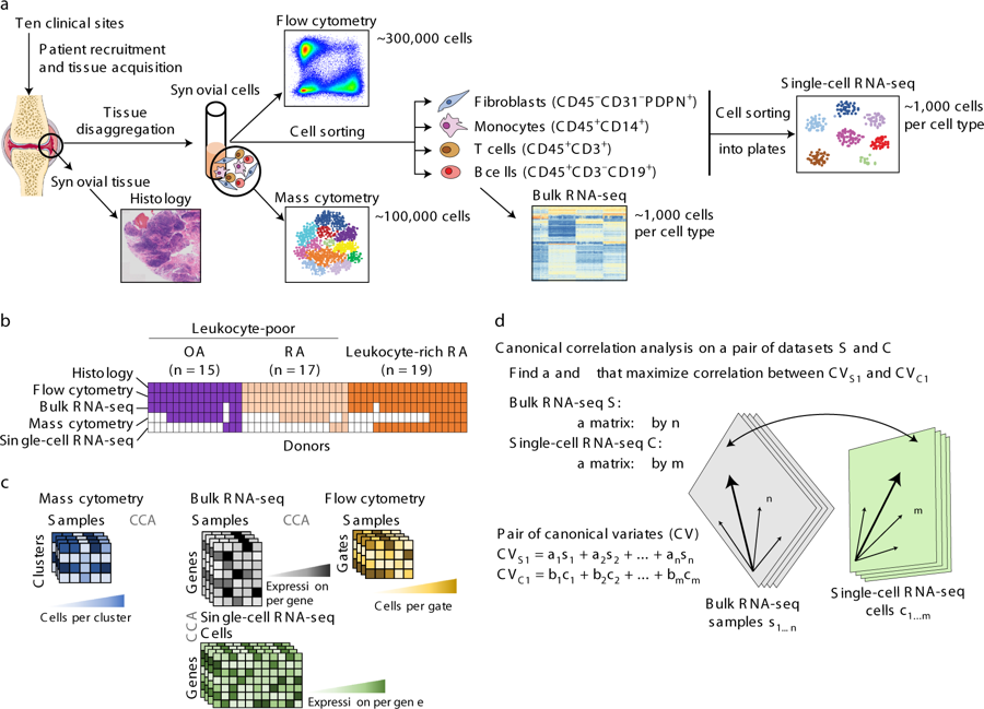 mmw_lmw's tweet photo. #Inflammatory_States in #Rheumatoid_Arthritis | Pairwise analysis of #MassCytometry and #SingleCell_Transcriptomics of cells from synovial tissue | Soumya Raychaudhuri @BrighamWomens @harvardmed @NatImmunol https://t.co/7RbI8tDs0w | #May_ReCap https://t.co/yFq6W7rwHL
