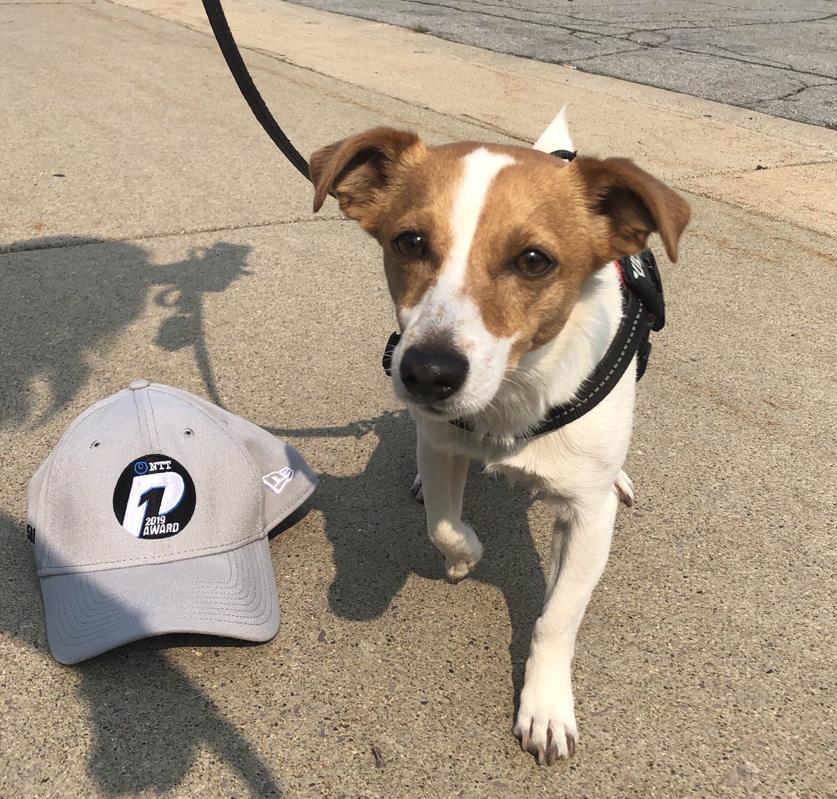 Simon Pagenaud On Twitter Giveaway Time Ive Felt So